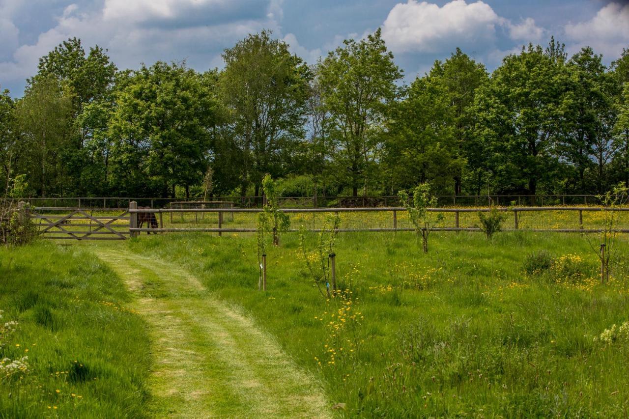 The Cowsheds Villa Brinkworth Dış mekan fotoğraf